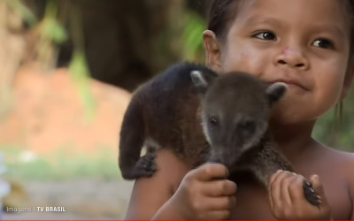 Um pouco sobre o povo Yanomami